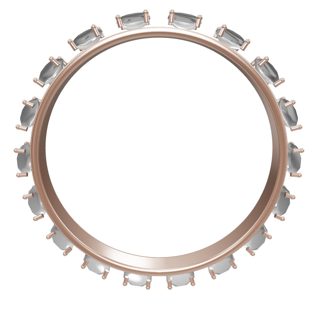 Illustrative 3D model of The Frame Eternity Ring